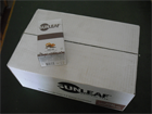 SunLeaf Chai